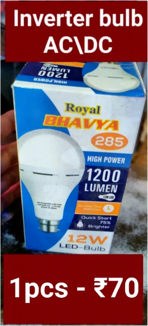 Inverter Bulb AC/DC — LED Lights